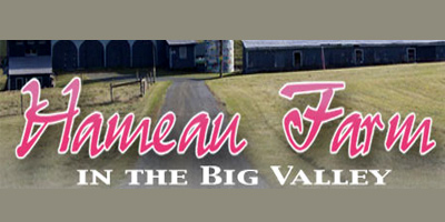 Hameau Farm in the Big Valley